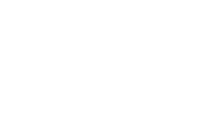 project qv logo