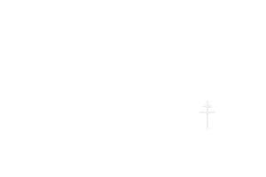 project sata logo